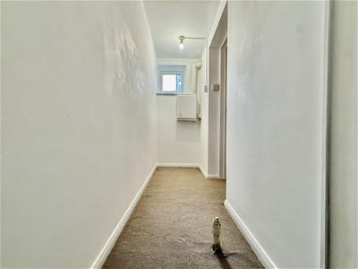 Picture 13